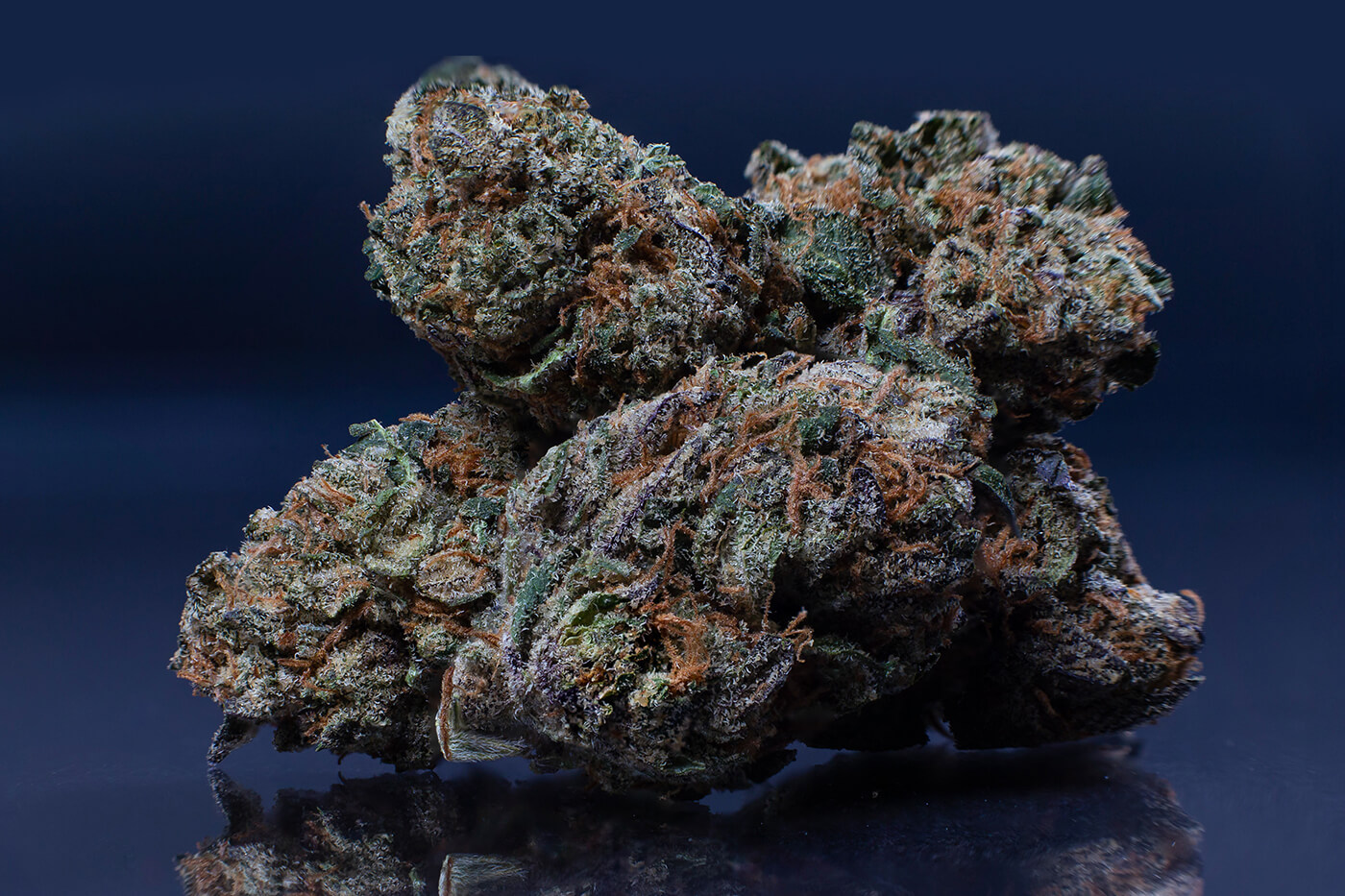 high THCa flower